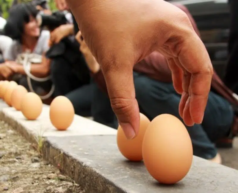 Telur Berdiri Saat Perayaan Peh Cun